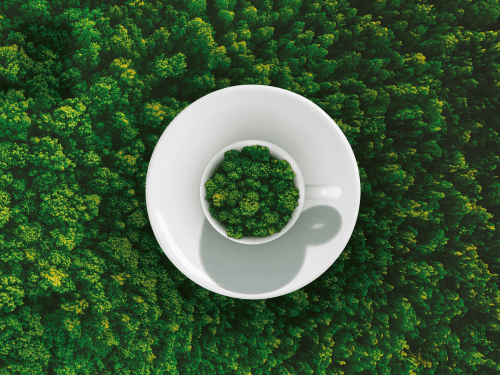 Tvari kava su charakteriu – ILLY kavos pupelės Arabica Selection Brazil, Cerrado Mineiro