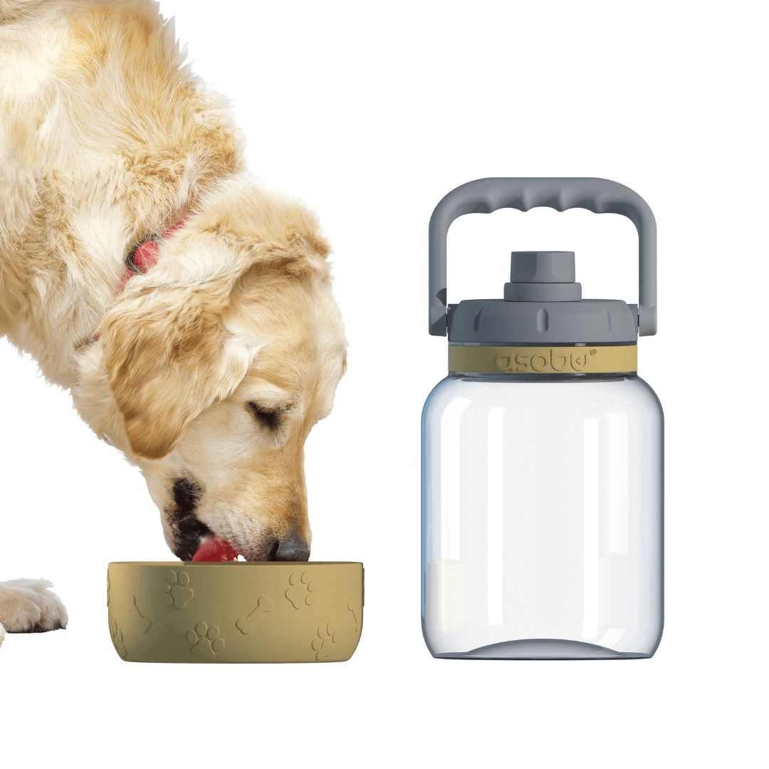 Vandens butelis Asobu Barkley, 1 L TWB21 garstyčių geltonos spalvos Asobu