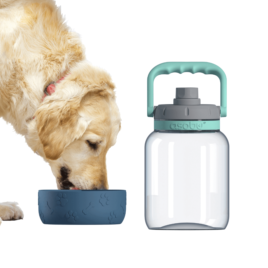 Vandens butelis Asobu Barkley, 1 L TWB21 mėlynas Asobu