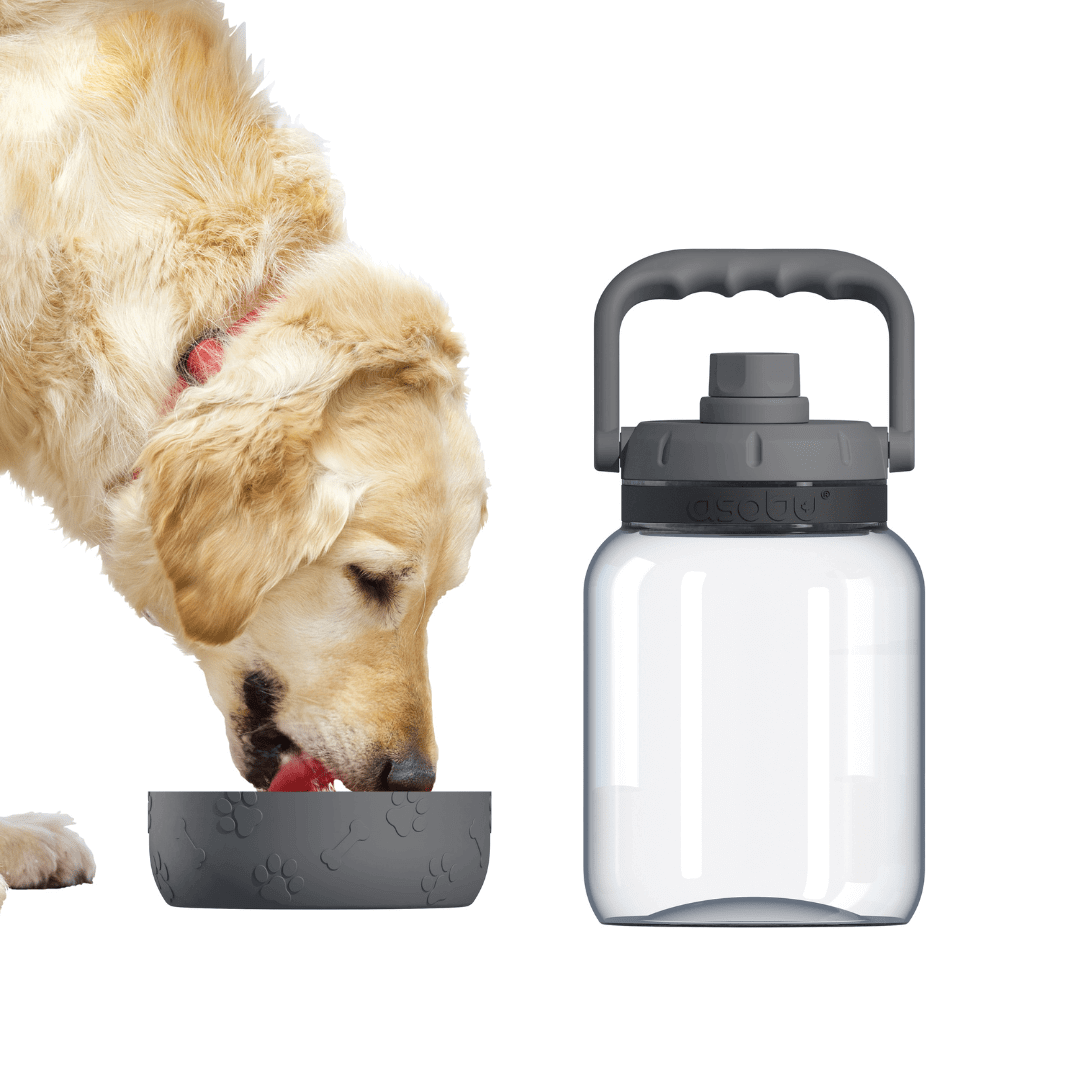 Vandens butelis Asobu Barkley, 1 L TWB21 pilkas Asobu