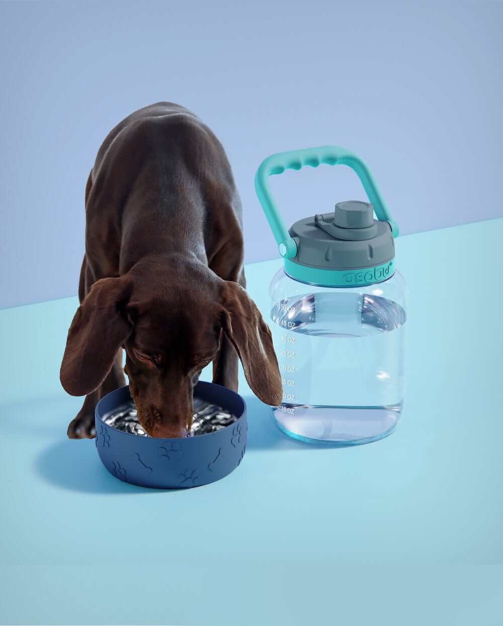 Vandens butelis Asobu Barkley, 1 L TWB21 rožinis Asobu