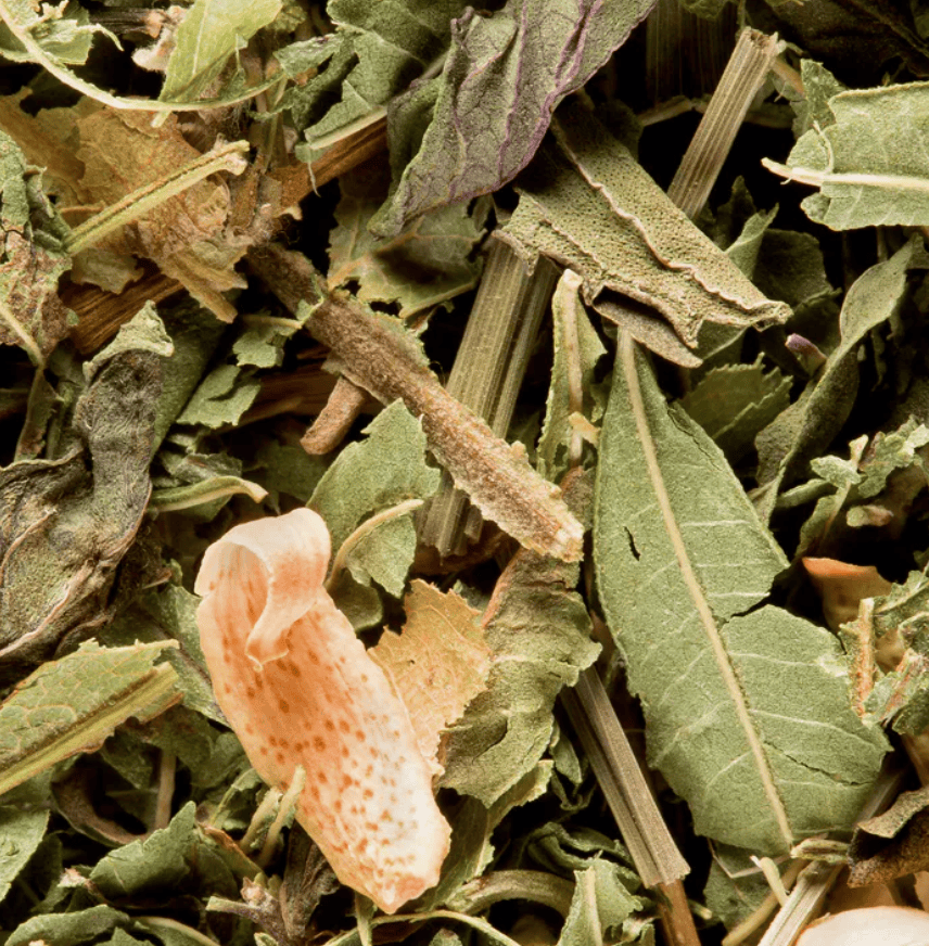 DAMMANN birios arbatos rinkinys su filtru „Happy Dreams N°624“ žolelių mišinys 50 g Dammann