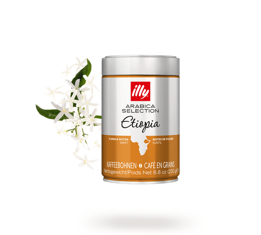 Kavos pupelės illy Arabica Selection Etiopija, 250 g illy