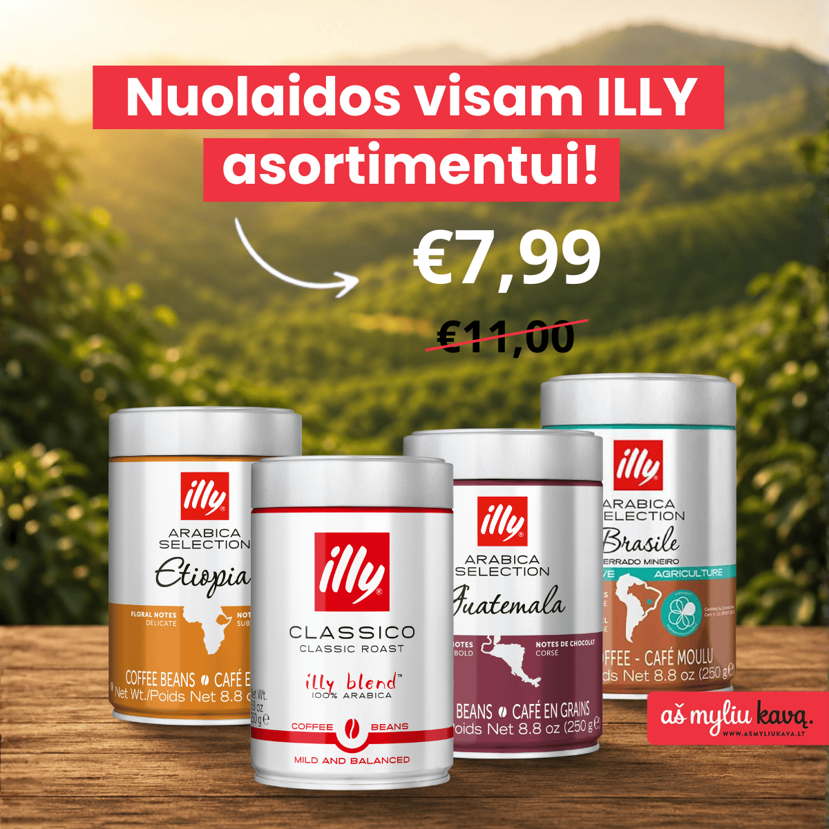 illy kava