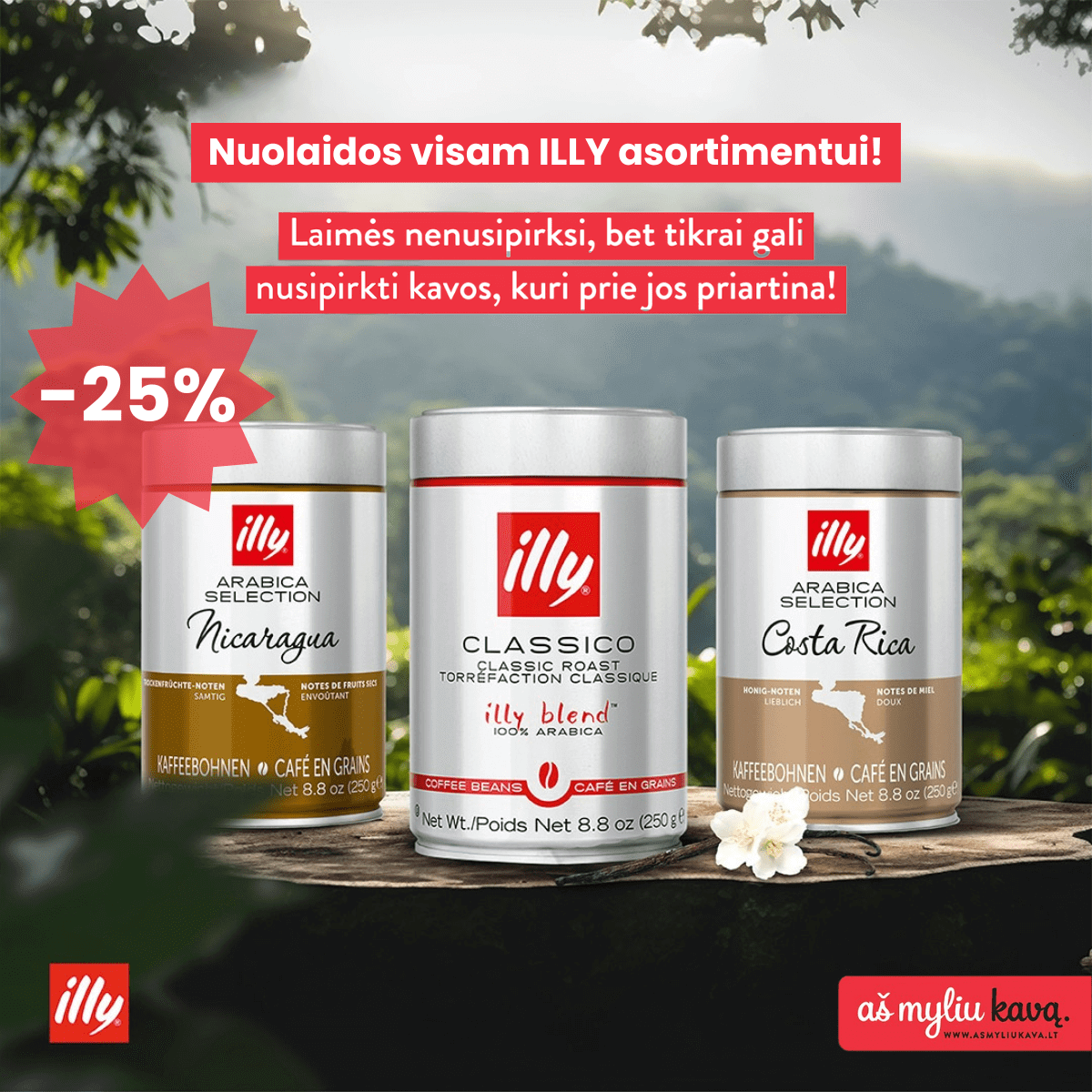 illy visa kava