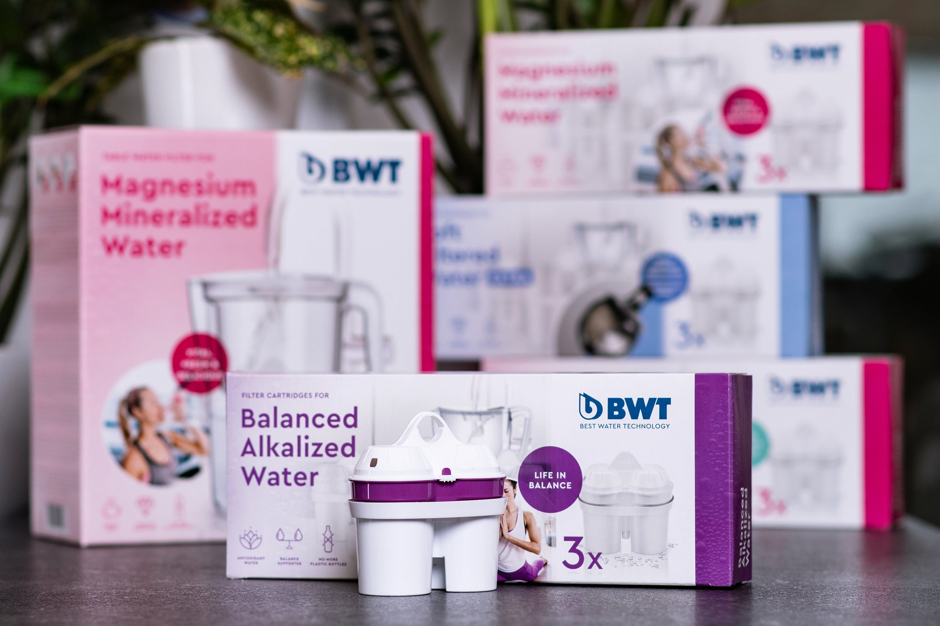 BWT Vandens filtrai Vandens filtras su aukštu pH lygiu BWT, 2 vnt.