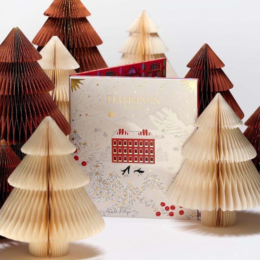 DAMMANN arbatos advento kalendorius Arnold d'Alger, 2025 m. Dammann