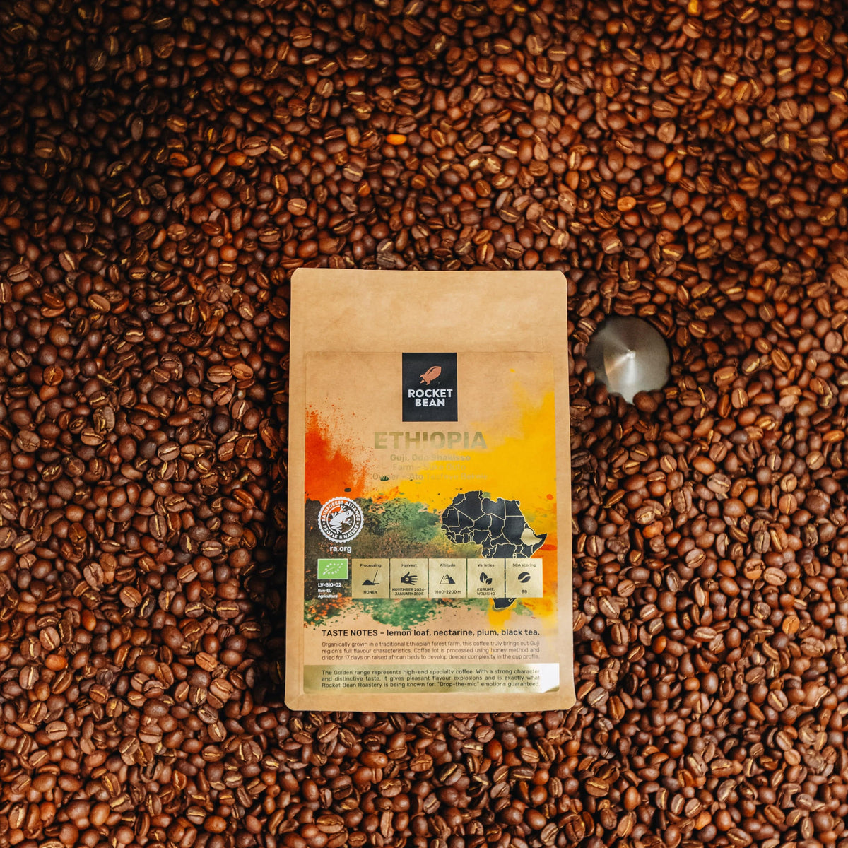 Kavos pupelės RBR Ethiopia, Honey, Guji, Odo Shakisso, Organic, RFA, 200 g Rocket Bean Roastery